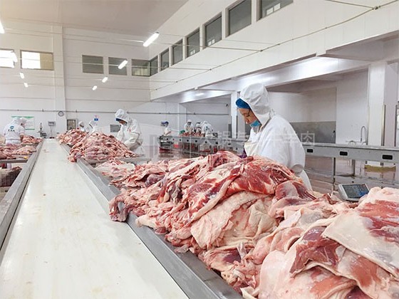 成品牛肉是怎么来的？海之隆带你看屠宰流程标准