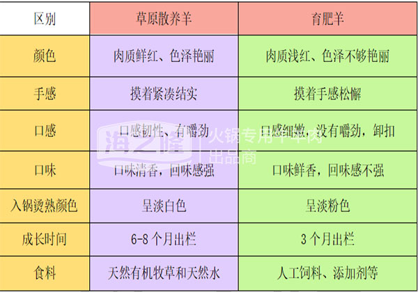 海之隆草原羊育肥羊区别